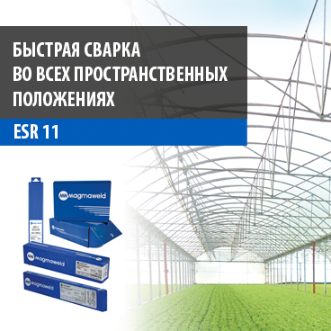 ESR 11